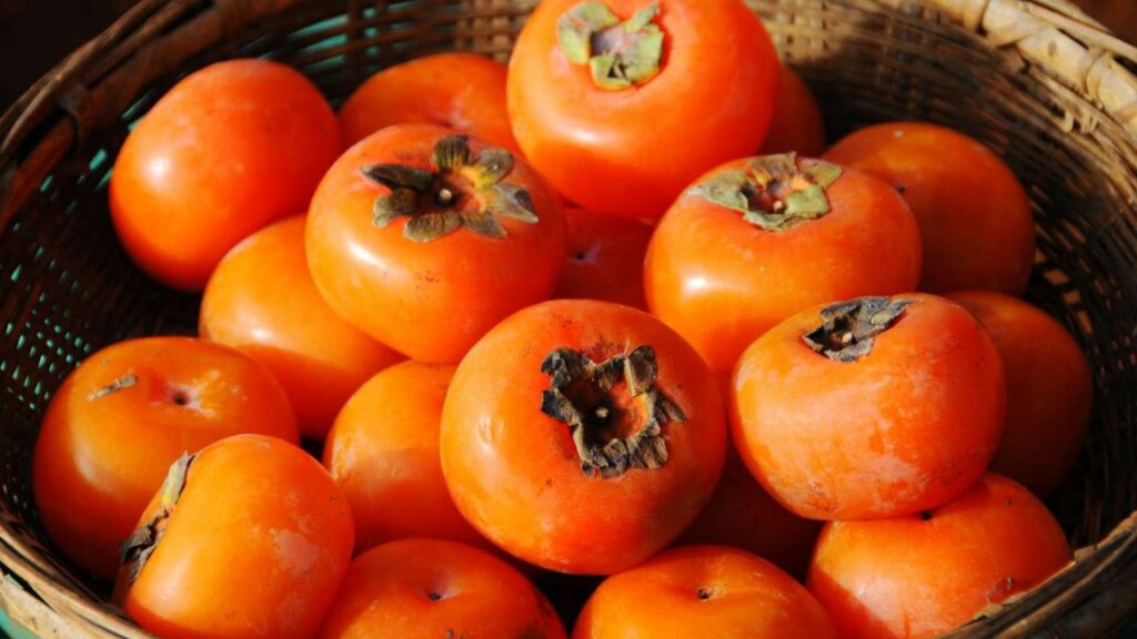 Persimmon Benefits: आंखों की रोशनी बढ़ाता है टमाटर जैसा दिखने वाला जापानी फल, जानें अन्य फायदे 