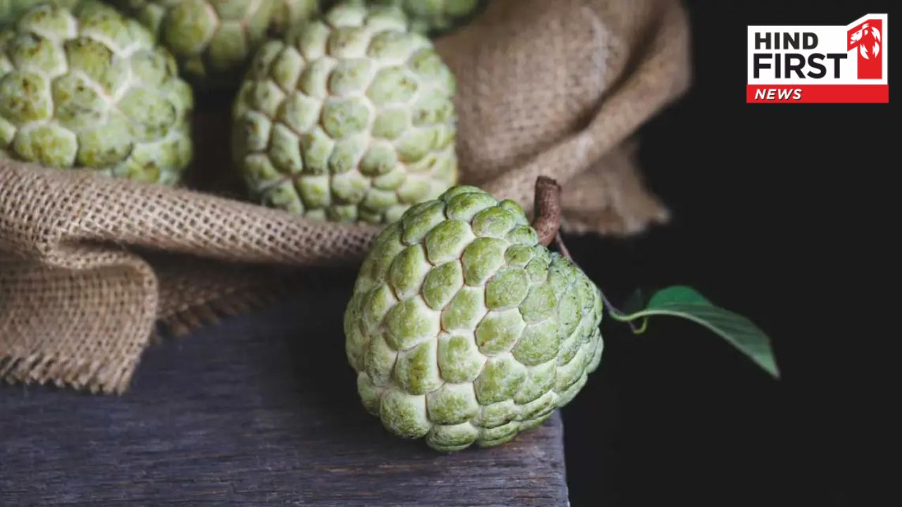 Custard Apple in Winter: जाड़ों में शरीफा खाने के हैं अनगिनत फायदे, आप भी जानें