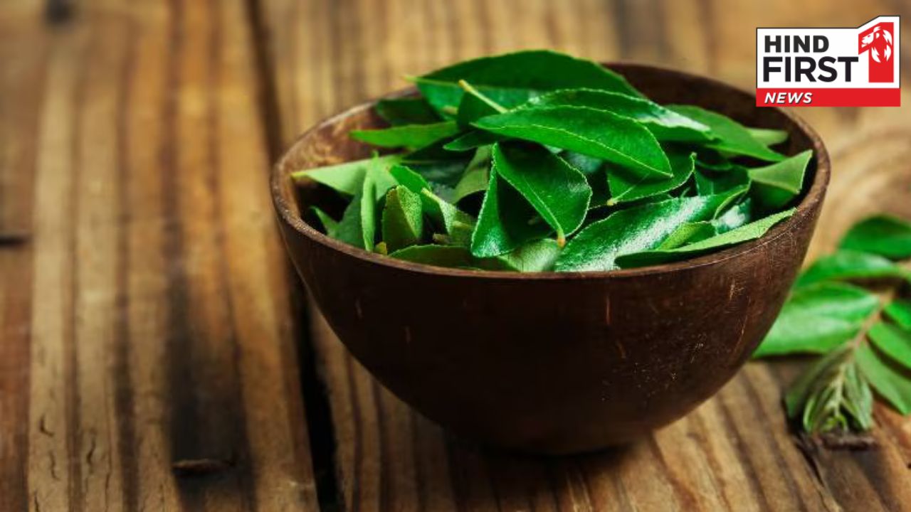 Curry Leaves For Hair: खाना ही नहीं बालों को भी सुन्दर बनाता है करी पत्ता, जानिए कैसे?