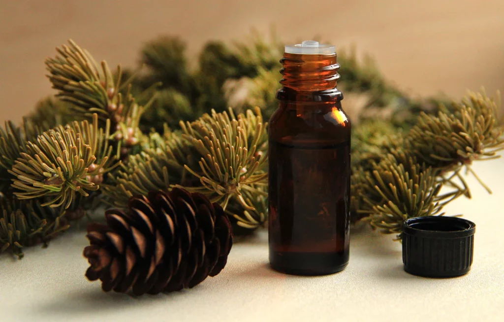 Cedarwood Oil: बालों के लिए पोषण से भरपूर है देवदार का तेल, जानिए कैसे करें इस्तेमाल 
