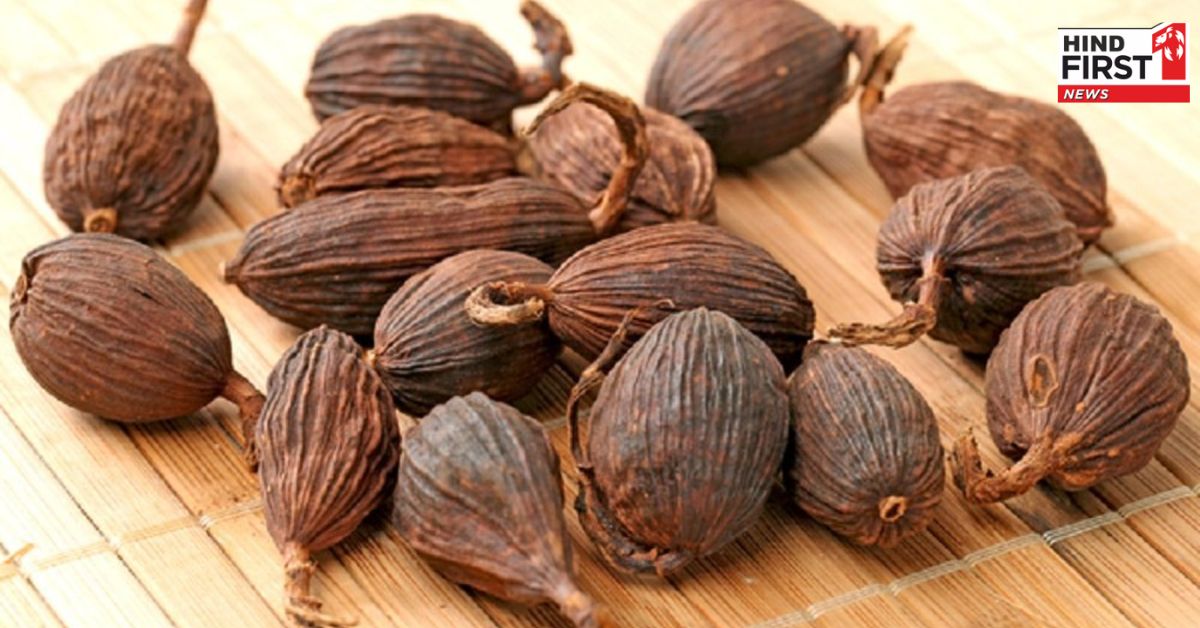 Black Cardamom Benefits