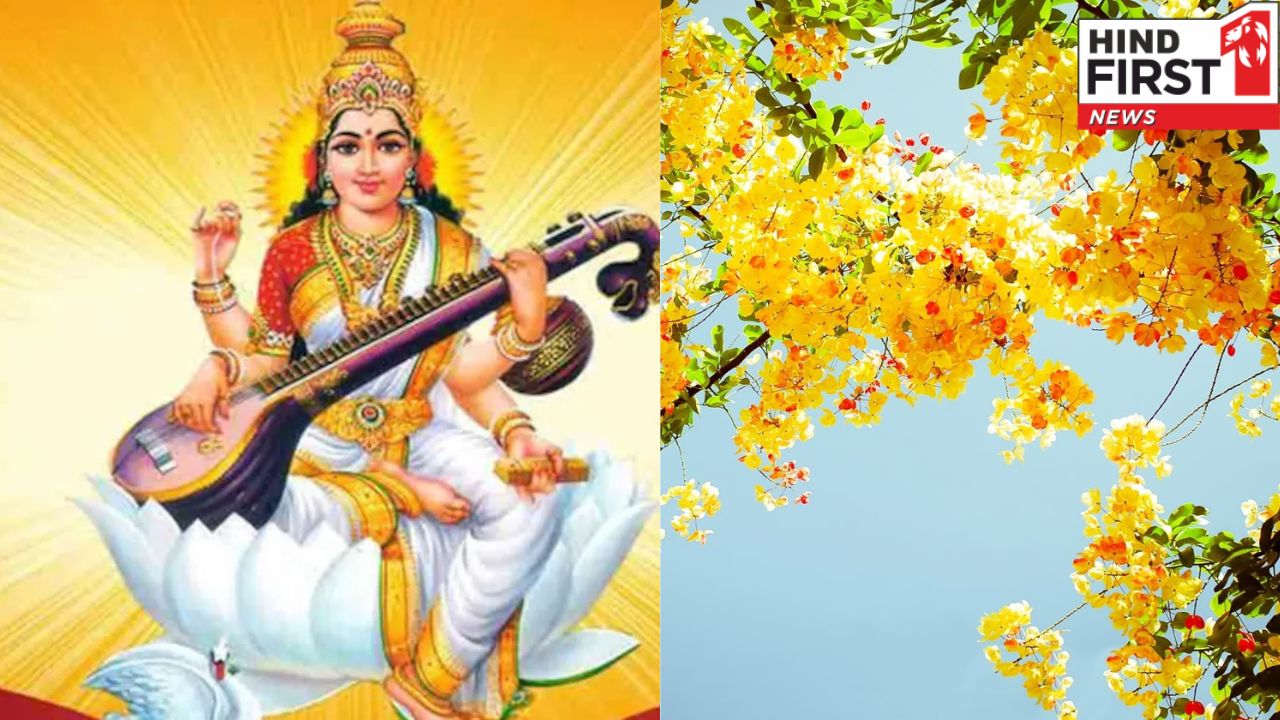 Basant Panchami 2025 : सरस्वती माता को इन 5 चीजों का जरूर लगाएं भोग , मिलेगी सफलता