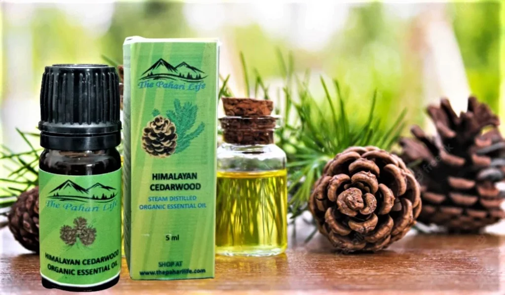 Cedarwood Oil: बालों के लिए पोषण से भरपूर है देवदार का तेल, जानिए कैसे करें इस्तेमाल 
