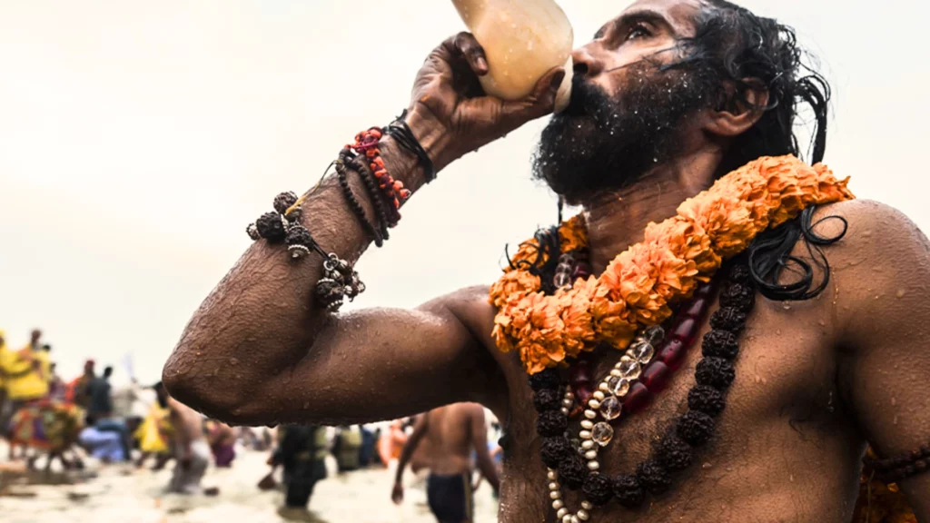 Naga Sadhu Facts