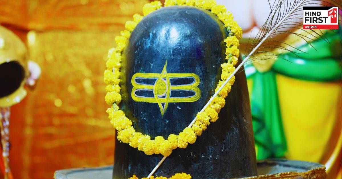 Mahashivratri 2025: महाशिवरात्रि पर इन चीजों को लाने से घर में आएगी सुख समृद्धि, भगवान शिव होंगे प्रसन्न