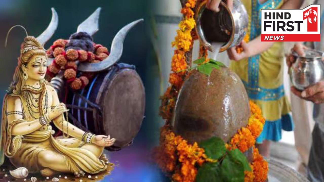 Mahashivratri Lucky Plant: महाकुंभ पर लगाएं इस वृक्ष का पौधा, बरसेगा धन, दरिद्रता होगी दूर