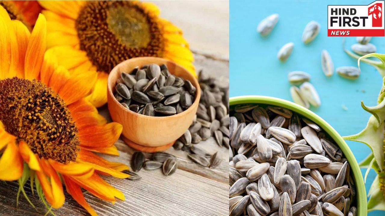 Sunflower Seeds: रोज़ाना सूरजमुखी के बीज का सेवन करेगा चमत्कार, जानें इसके फायदे