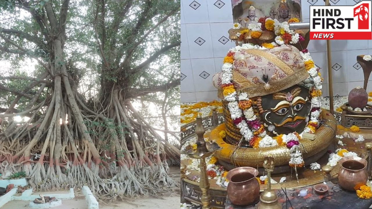 Narmadapuram Shiv Mandir MP: 500 साल पुराने वट वृक्ष से बना है यह शिव मंदिर, दर्शन मात्र से मनोकामना होती है पूर्ण