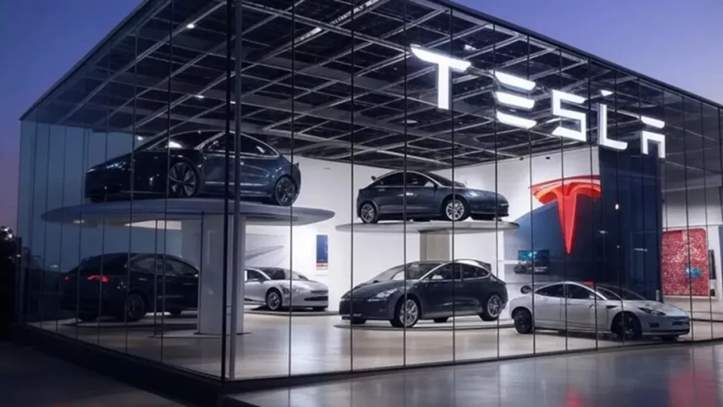 Tesla India entry