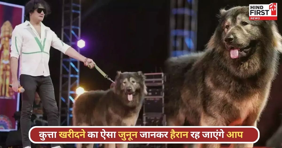 World Most Expensive Wolf Dog: भारतीय डॉग लवर ने एक कुत्ता खरीदने में क्यों लगा दिए 50 करोड़ रुपये?