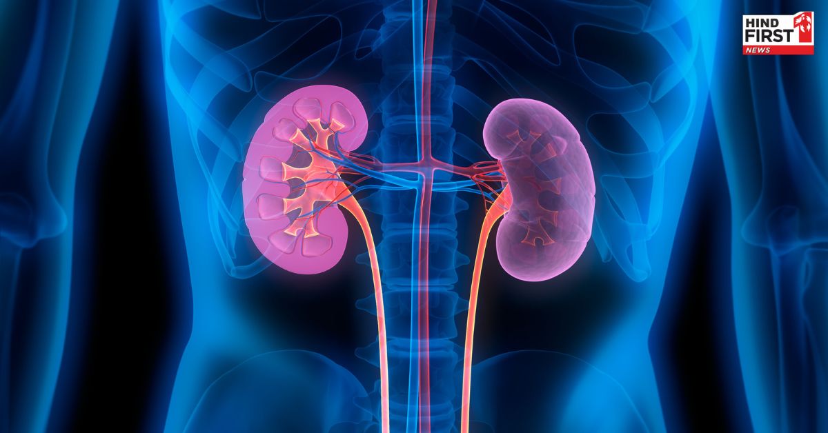 Kidney failure causes